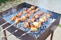 Azerbaijani chicken skewers Royalty Free Stock Photo