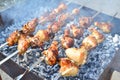 Azerbaijani chicken skewers Royalty Free Stock Photo