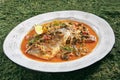Azeri Syrdak with Sea Bass, Vegetables and Leek on Natural Moss