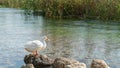 Azmak River in Akyaka Village of Mugla, Turkey