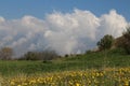 Azo Plain in Mazandaran