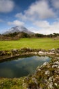 Azorean pastures