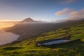 Azorean pastures