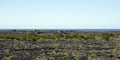 Azoren, view over old vineyard on the island Pico