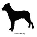 Azores cattle dog black and white outline Royalty Free Stock Photo