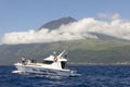 Azores coastline landscape in Pico island with whale watching bo