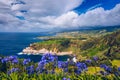 Azores panoramic view of natural landscape, wonderful scenic island of Portugal. Beautiful lagoons in volcanic craters and green