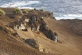 Azores volcanic coastline landscape in Faial island. Ponta dos C