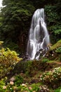 Azores Waterfall