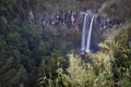 Azores: Waterfall Royalty Free Stock Photo