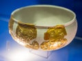 A bowl with gold lining in the form of the head of a griffin, the exposition `Gold of the Scythians`