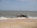 On the Azov sea beach in Golubitskaya Russia