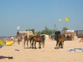 On the Azov sea beach in village Golubitskaya Russia