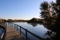 Azraq Wetland Reserve in Jordan Royalty Free Stock Photo