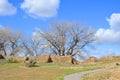 The Aztec Ruins National Monument preserves ancestral Pueblo Royalty Free Stock Photo