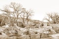 Aztec Ruins National monument Royalty Free Stock Photo