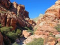 Aztec sand stone rock formation near Red Rock Canyon, Southern Nevada