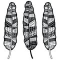 Aztec zentangle style feathers symbolizing native American culture in black and white with tribal ornaments