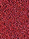 Azuki beans 1