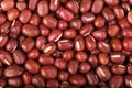 Azuki beans