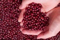 Azuki beans 3 Royalty Free Stock Photo