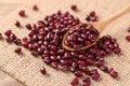 Azuki beans or red mung beans in a wooden spoon Royalty Free Stock Photo