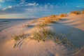 Azure blue sky and puffy clouds just after sunrise on the beach at Beach Haven Royalty Free Stock Photo