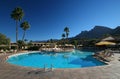 Azure blue swimming pool with palm