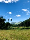 Azure heavens embrace peaks, nature's majestic tapestry unfurled