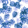 Azure Monstera Pattern Jungle. Seamless Monstera. Blue Watercolor Backdrop. Tropical Texture. Floral Plant. Summer Background.Vint Royalty Free Stock Photo