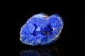 Azurite druse in front of Black Royalty Free Stock Photo