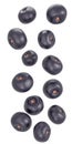 Isolated acai fruits