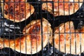 B-B-Q. Grilled chicken meat. Appetizing Chicken legs fried over charcoal