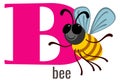 B for bee letter card. English alphabet symbol