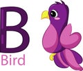 B bird alphabet for kid with illustration