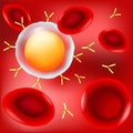 B-cell, antibodies, and red blood cells in blood flow on red background Royalty Free Stock Photo