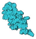 B-cell maturation antigen (BCMA, extracellular domain) protein. 3D rendering based on protein data bank entry 2kn1