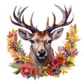 Large forest deer with spreading antlers in a frame of autumn plants Royalty Free Stock Photo