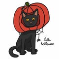 Black cat wear pumpkin head , Halloween concept cartoon illustration Royalty Free Stock Photo