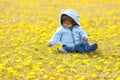 B in the field with spring flowers