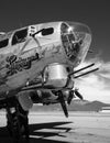B-17 Flying Fortress Nose Guns