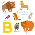 B letter animals set. English alphabet.