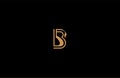 B letter linear shape luxury flourishes ornament logotype