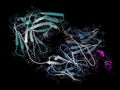 B-lymphocyte antigen CD20 epitope peptide fragment, bound to rituximab (Fab fragment). Indications for rituximab include leukemia