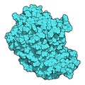 B-lymphocyte antigen CD20 (theoretical model). Protein expressed on the surface of B-cells. Anti-CD20 monoclonal antibody drugs