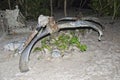 B52 propeller on sandy beach