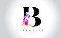 B Vibrant Creative Leter Logo Design with Colorful Smoke Ink Flo Royalty Free Stock Photo