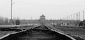 B&W Auschwitz trainline