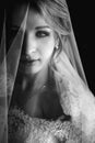 B&W beautiful blonde bride in make-up and veil in a white dress Royalty Free Stock Photo