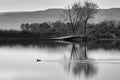 B & W Lonesome Loon in November